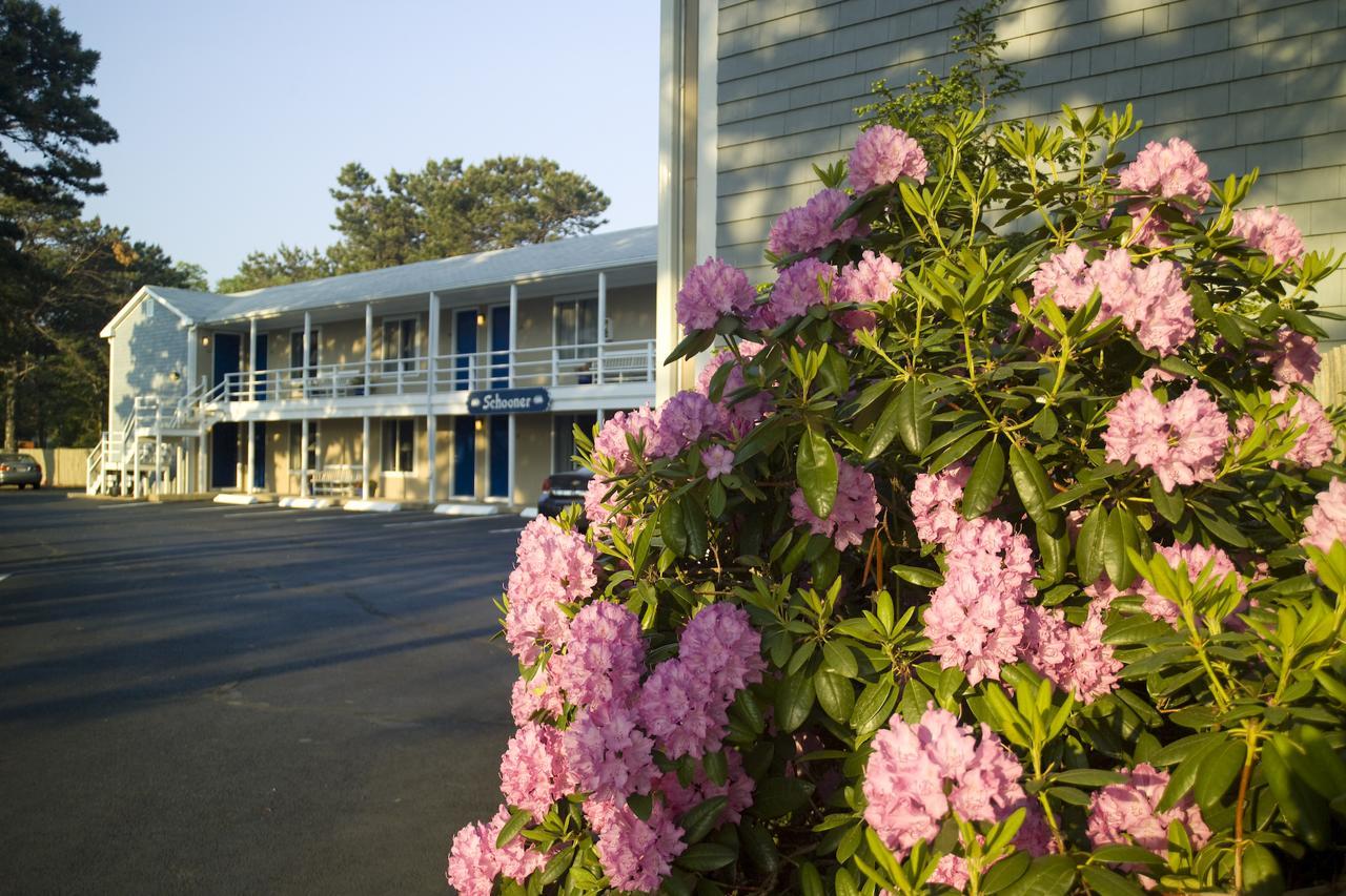 Southfleet Motor Inn 韦尔弗利特 外观 照片